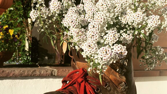 Blumendeko im Gatterhof