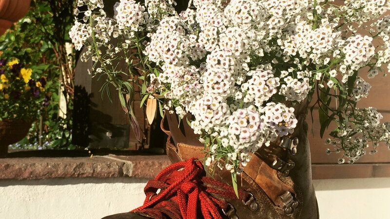 Blumendeko im Gatterhof