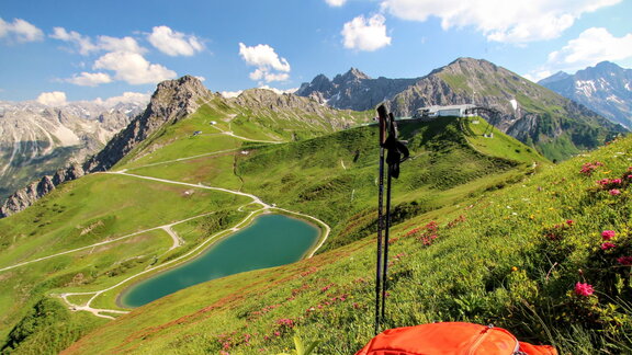 Alpenwiese am Fellhorn
