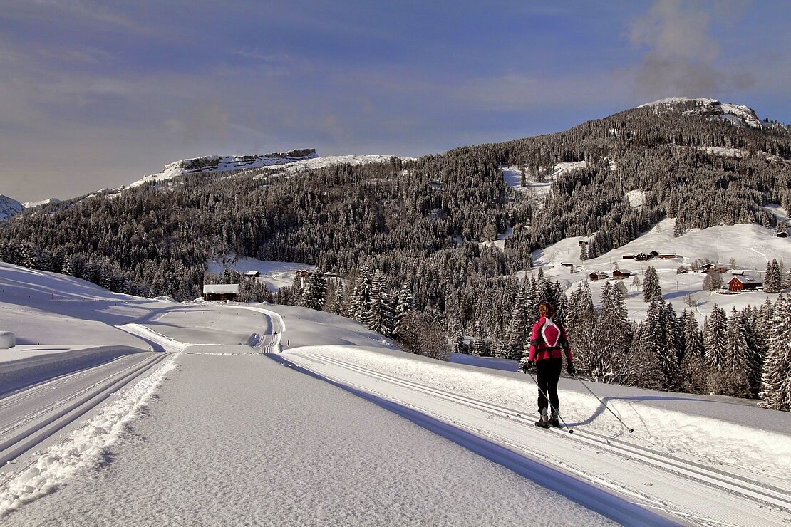 Langlauf im Kleinwalsertal