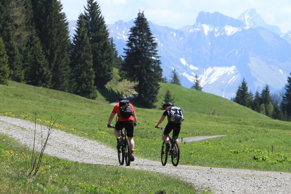 Mountainbiken Kleinwalsertal Mountainbiken am Hörnlepass
