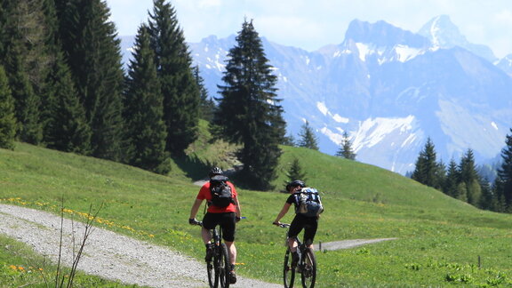 Biken am Hörnlepass