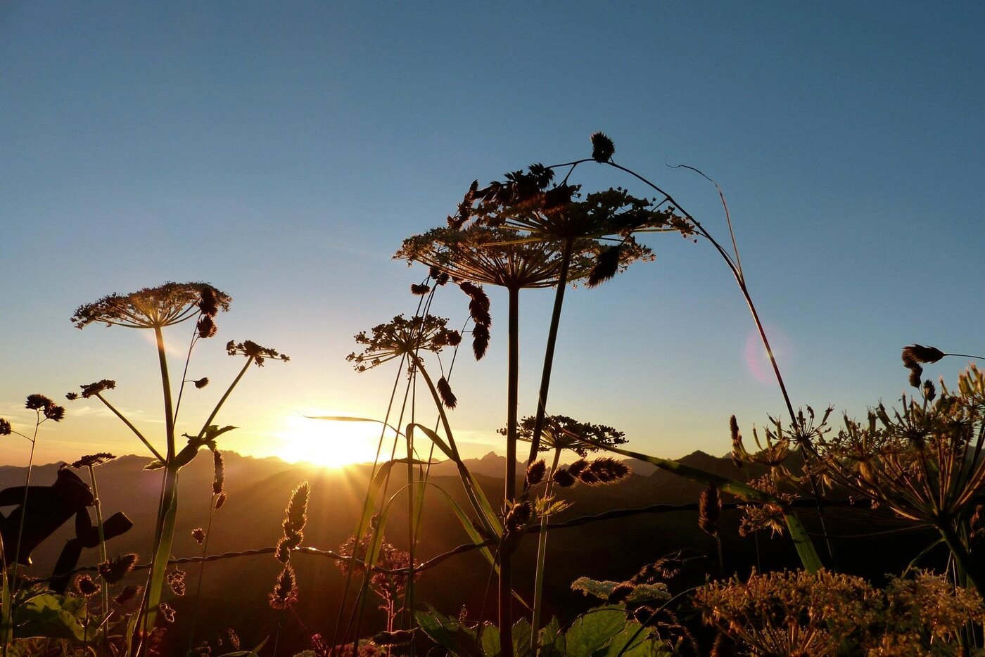 sonnenaufgang