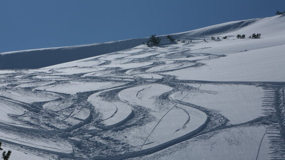 Freeriding am Ifen